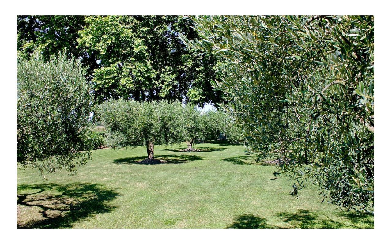 Le Domaine de Laforest Fontvieille Extérieur photo