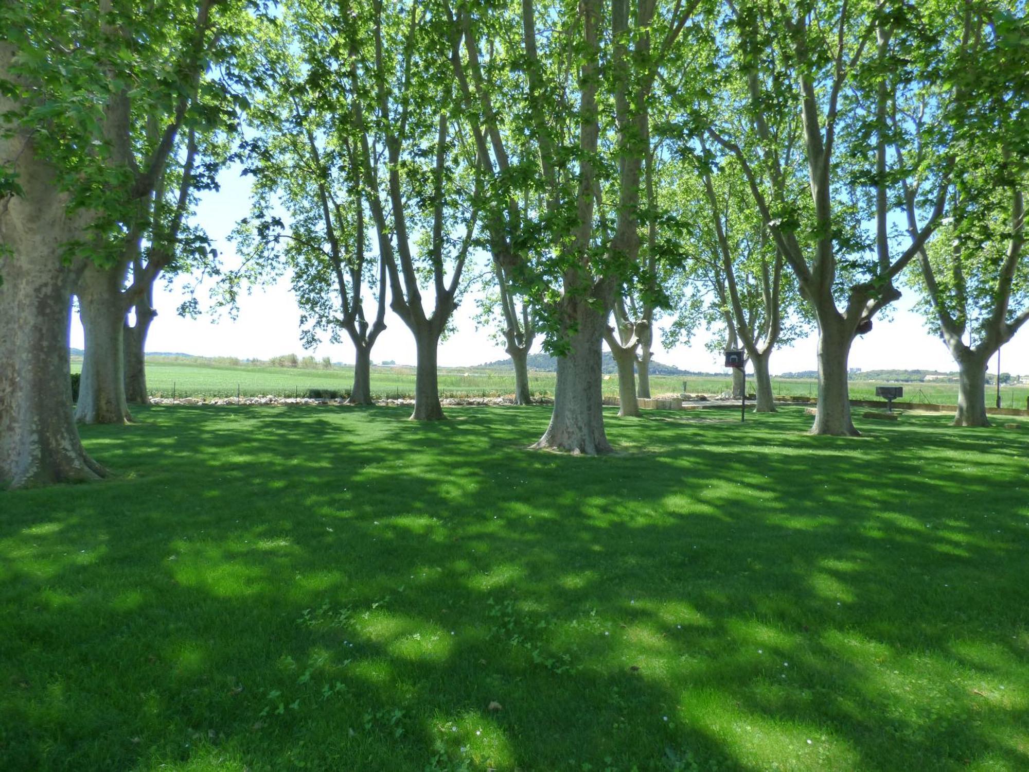 Le Domaine de Laforest Fontvieille Extérieur photo